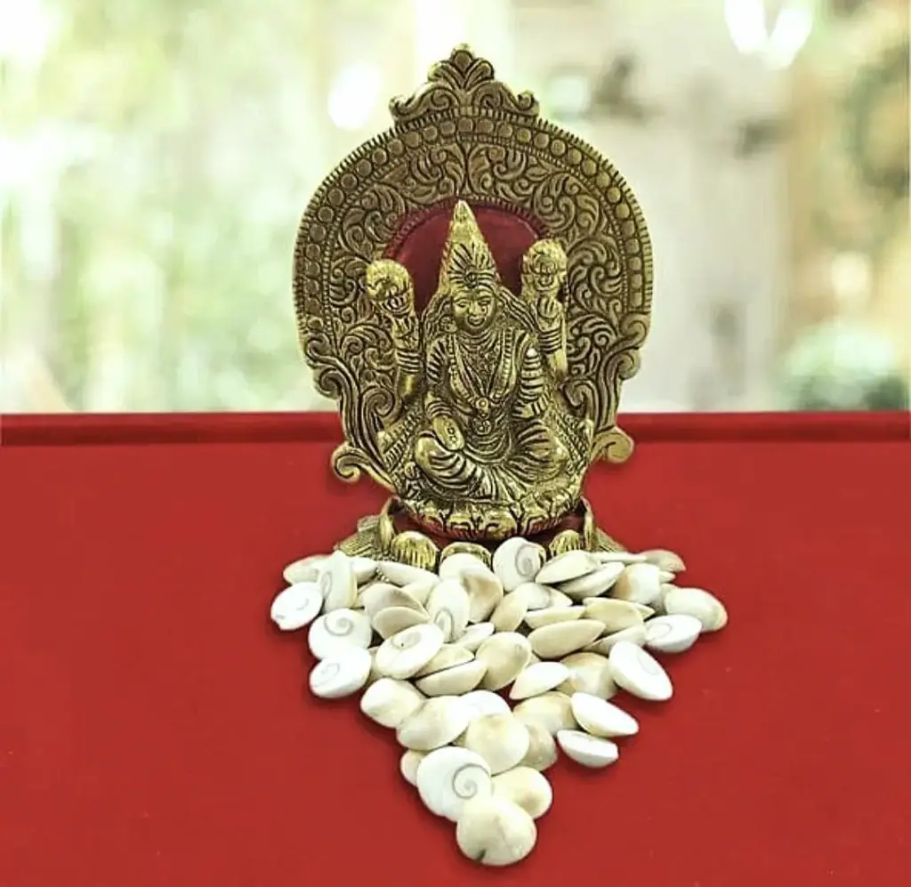 गोमती चक्र 11 पीस ( धन, समृद्धि देने वाला )