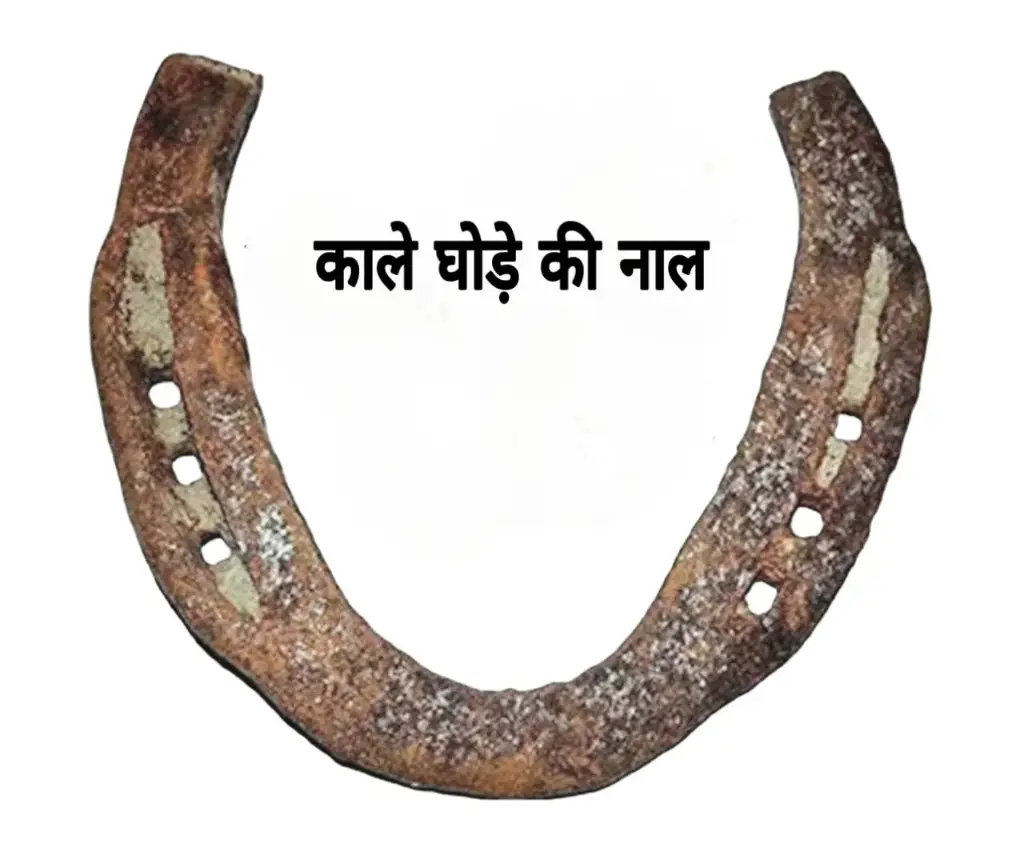 काले घोडे की नाल ( नकारात्मक ऊर्जा, बुरी नजर और जादू-टोने से सुरक्षा देने वाली )100% Orginal