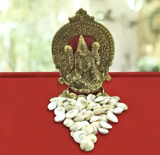 गोमती चक्र 11 पीस ( धन, समृद्धि देने वाला )